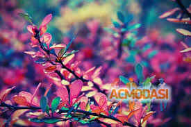 Vfiffff Ffwetregrg Rtytihgjy фото №741730. Завантажено 28 Вересня 2014