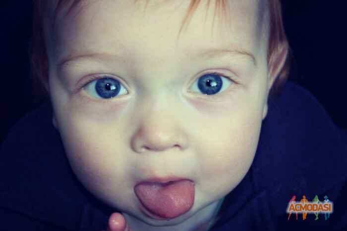 Дмитро Артемович Волков фото №1012695. Завантажено 27 Січня 2017