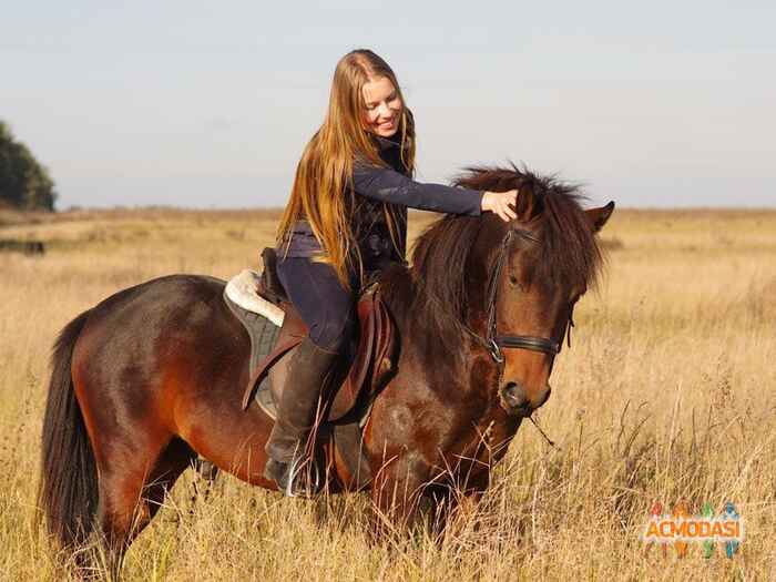 Анна   фото №1151417. Завантажено 11 Грудня 2017