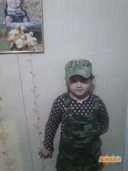 Людмила Григорівна Шинкар фото №997792. Завантажено 14 Грудня 2016