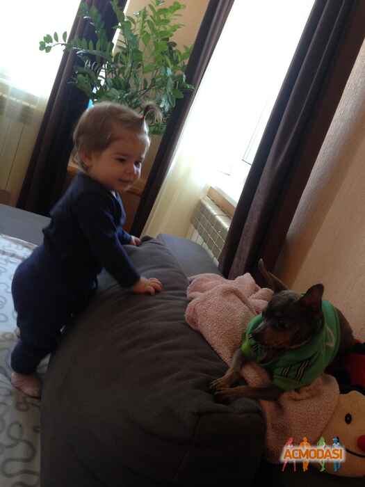 Милана   фото №1018321. Завантажено 09 Лютого 2017