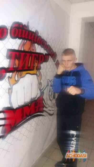 Vova  Tiger фото №1039050. Завантажено 02 Квітня 2017