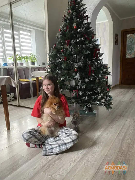 Валерія  Більговська фото №1750672. Завантажено 20 Грудня 2025