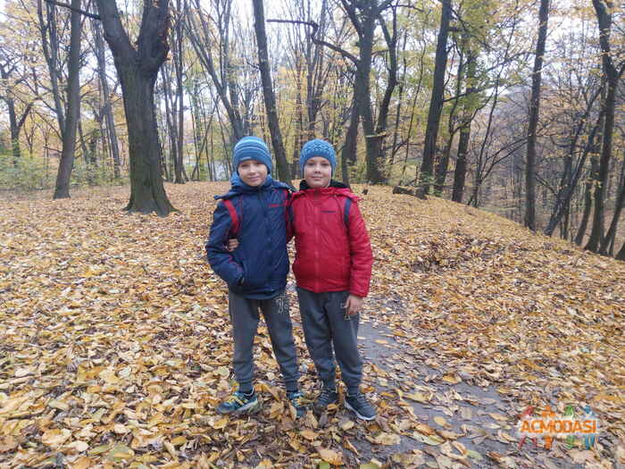 Андрій, Олександр(двійня) Анатолійович Сікало фото №1131245. Завантажено 06 Листопада 2017