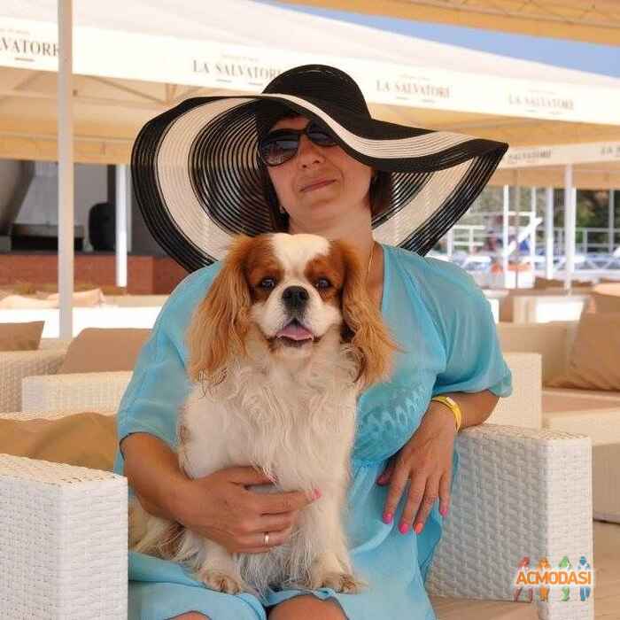 Лариса Адольфівна Нікіфорова фото №1080152. Завантажено 18 Липня 2017