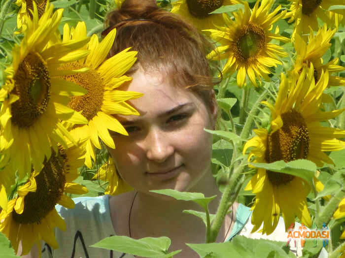 Елена   фото №988742. Завантажено 23 Листопада 2016