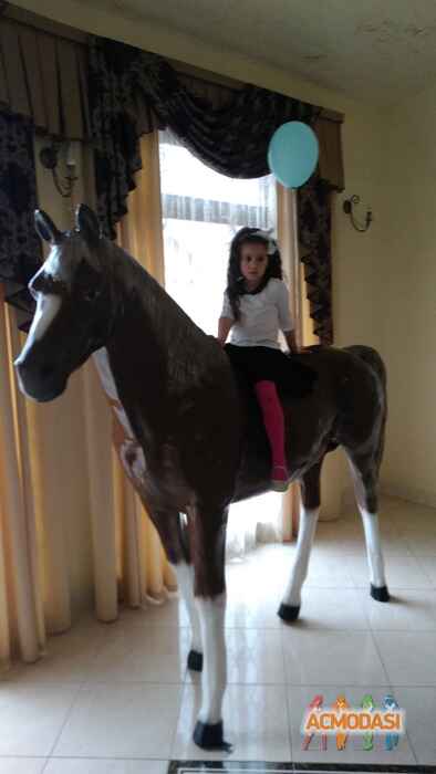 Олена Євгенівна Закопець фото №1470885. Завантажено 05 Листопада 2019