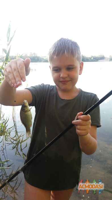 Евгений Артемович Богатырь фото №1474058. Завантажено 11 Листопада 2019