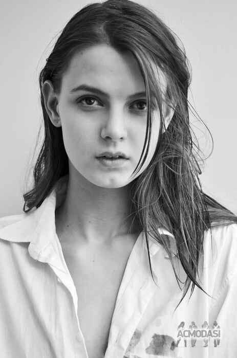 Даниель  Кобашвили фото №904065. Завантажено 24 Квітня 2016