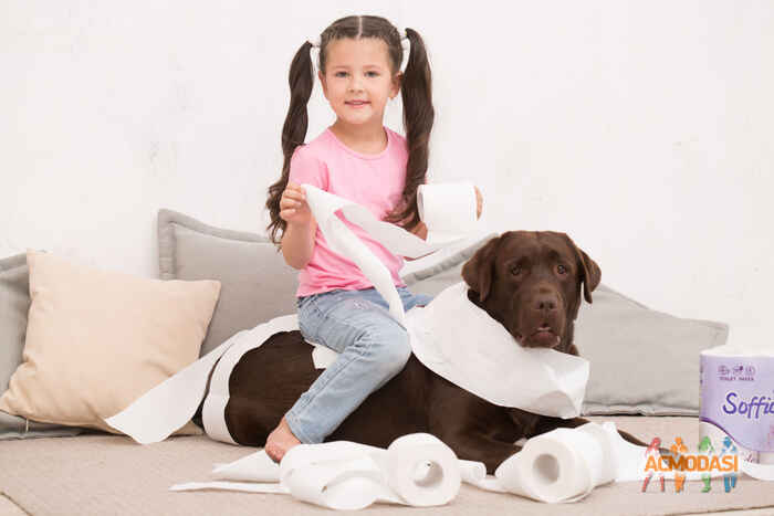 Соломія Олександрівна  фото №1087599. Завантажено 05 Серпня 2017