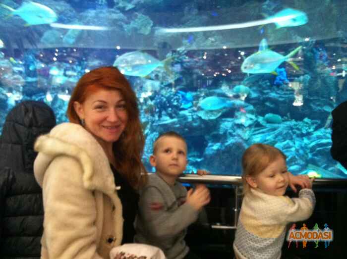 Олег Вячеславович Кушниров фото №1036497. Завантажено 27 Березня 2017