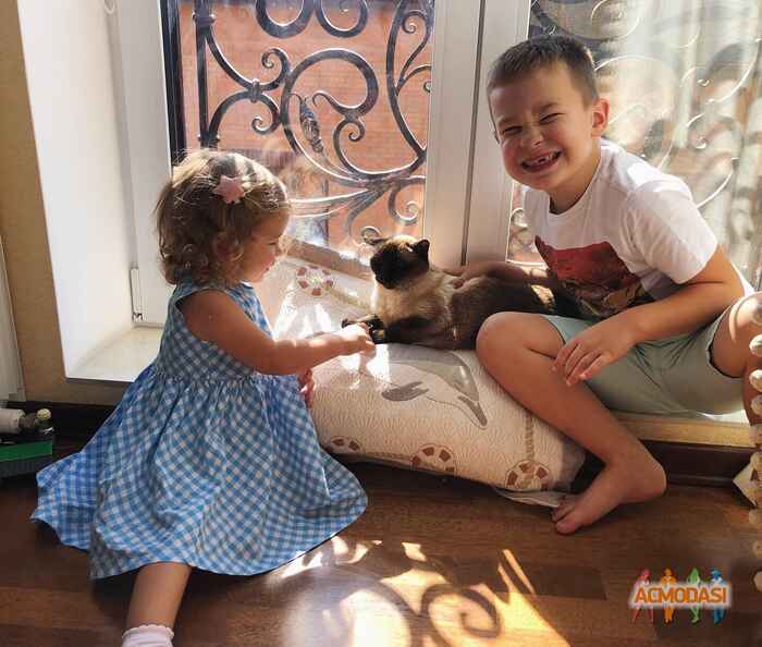 Аліса Олександрівна Морач фото №1481679. Завантажено 29 Листопада 2019