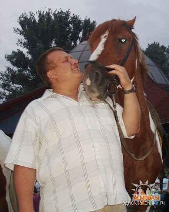 Евгений   фото №158821. Завантажено 02 Березня 2012