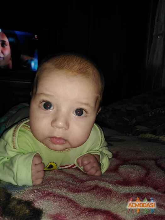 Ромка. Альона  Плиса фото №1528532. Завантажено 08 Травня 2020