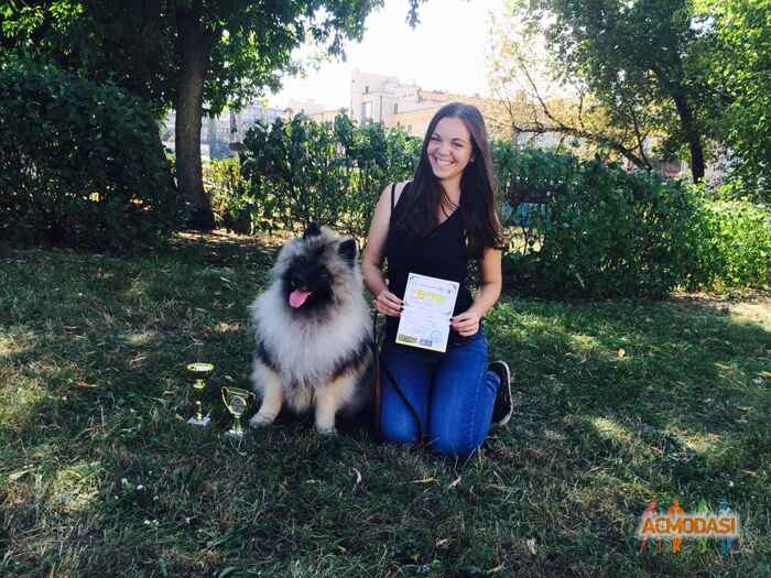 Алина Витальевна Котюк фото №1026097. Завантажено 27 Лютого 2017