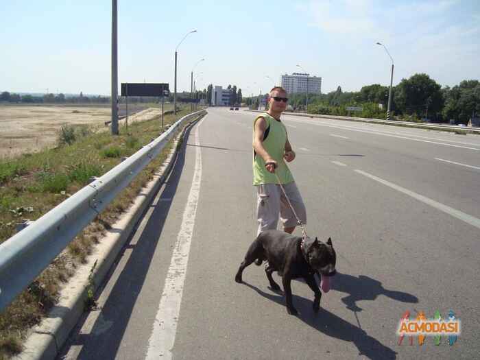 Борис Михайлович Гоц фото №1147895. Завантажено 04 Грудня 2017