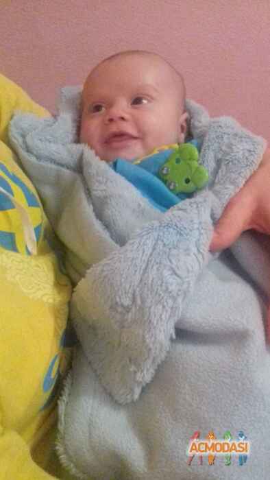 Максим Сергійович Штойко фото №1180663. Завантажено 06 Лютого 2018