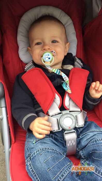 Роберт   фото №1075701. Завантажено 07 Липня 2017