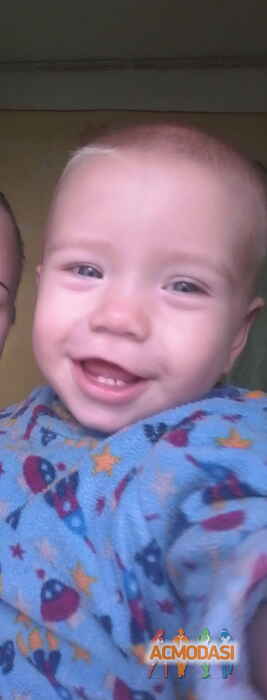 Давид Анатольевич Берёза фото №1140615. Завантажено 21 Листопада 2017