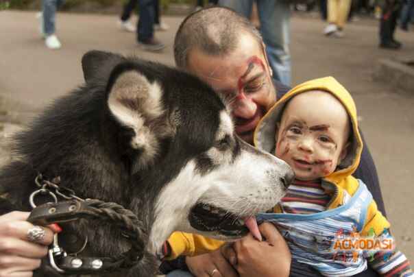 Наташа Віталіївна Савченко фото №855565. Завантажено 27 Листопада 2015