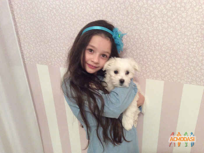Амина Алимовна Османова фото №912606. Завантажено 23 Травня 2016
