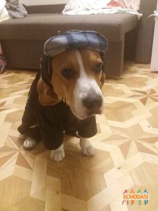 Алексей  Обух фото №1016179. Завантажено 04 Лютого 2017