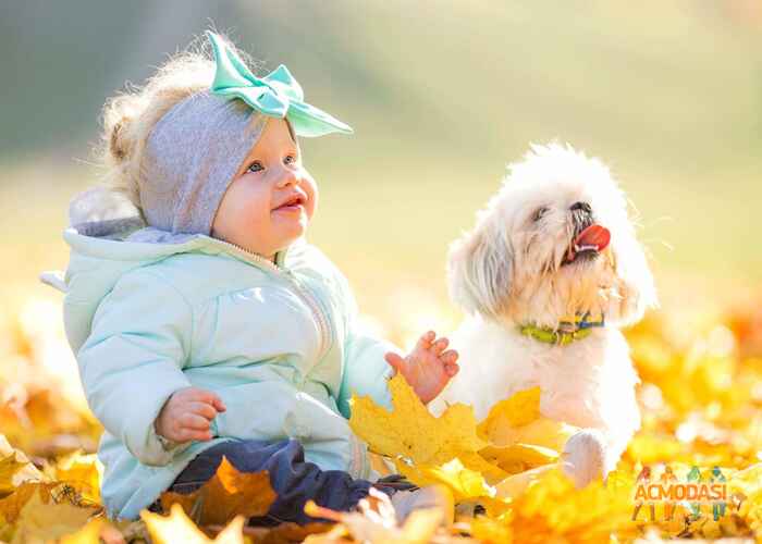 Олена Андріївна Єгорова фото №1157504. Завантажено 27 Грудня 2017