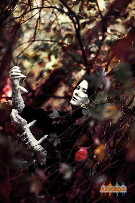 Роман Олександрович Радченко фото №1186674. Завантажено 15 Лютого 2018