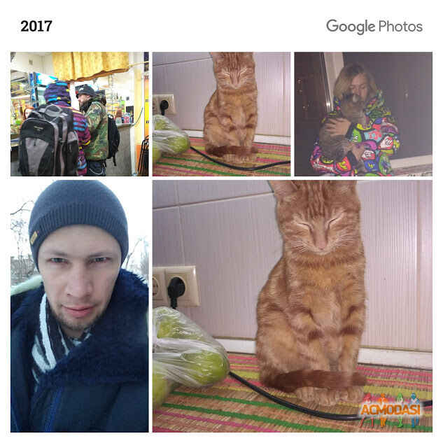 Алексей  Овечкин фото №1388265. Завантажено 11 Квітня 2019