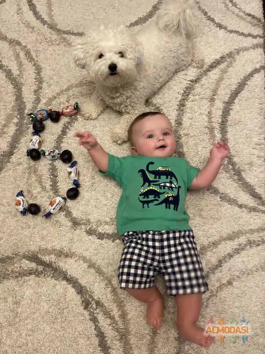 Арсен Олександрович Пивоваров фото №1746108. Завантажено 12 Серпня 2025