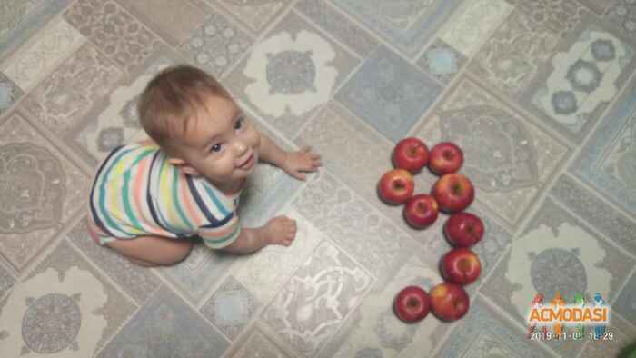 Елена  Гринчак фото №1480665. Завантажено 27 Листопада 2019