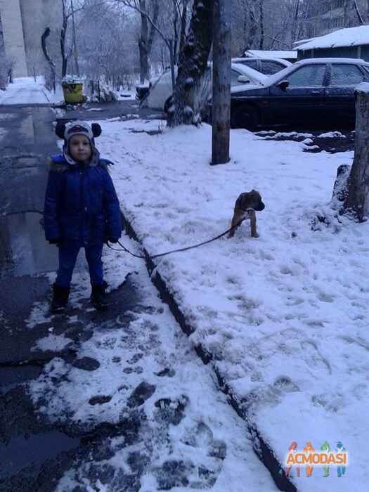 Ирина Васильевна Онищенко фото №1183481. Завантажено 10 Лютого 2018