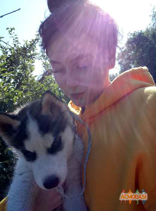 Діана Вікторівна Заволока фото №1416081. Завантажено 29 Червня 2019