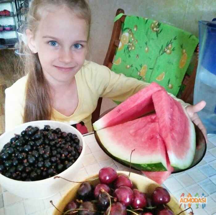 Любовь  Карасёва фото №1134355. Завантажено 10 Листопада 2017