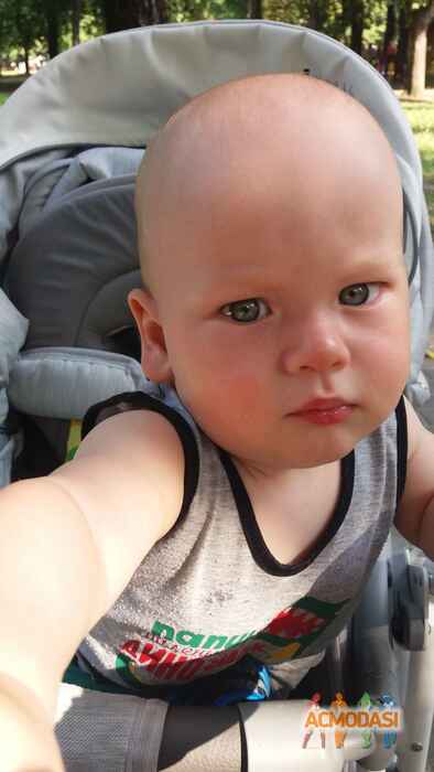 Міша   фото №1085995. Завантажено 01 Серпня 2017