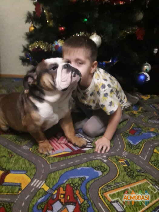 Елена Александровна Михайлова фото №1154935. Завантажено 20 Грудня 2017