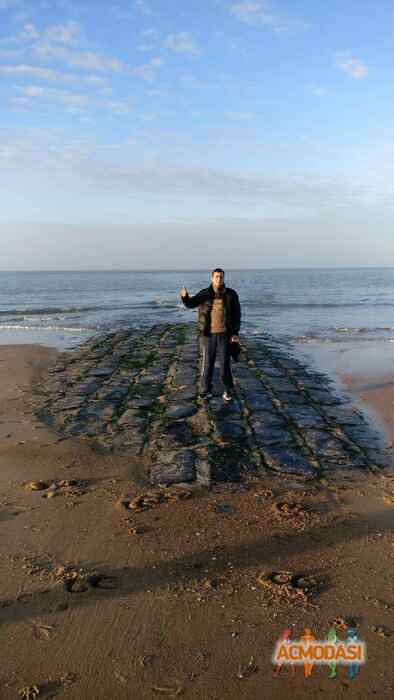 Дима Омарович Худоев фото №1053480. Завантажено 13 Травня 2017