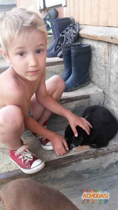 Діма  Єміров фото №1019178. Завантажено 11 Лютого 2017