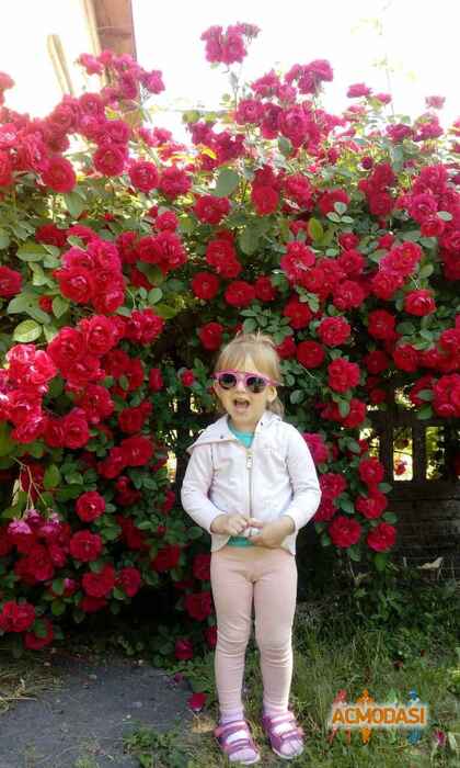 Єлизавета   фото №1109800. Завантажено 28 Вересня 2017