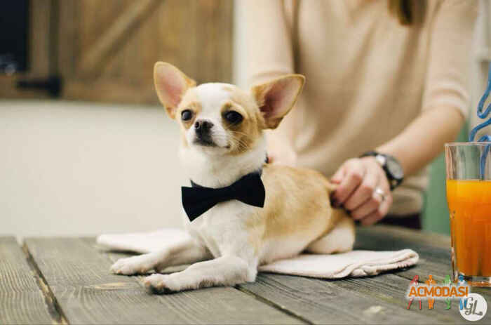 екатерина   фото №1171602. Завантажено 24 Січня 2018