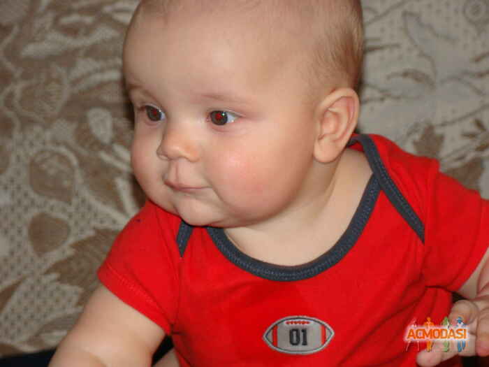 Александр  Ситнянский фото №1014401. Завантажено 31 Січня 2017