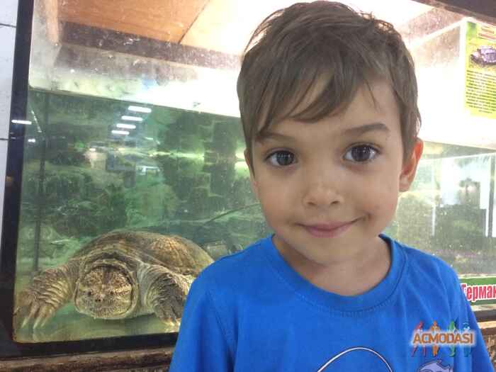 Александр Евгеньевич Шафранский фото №1125587. Завантажено 28 Жовтня 2017