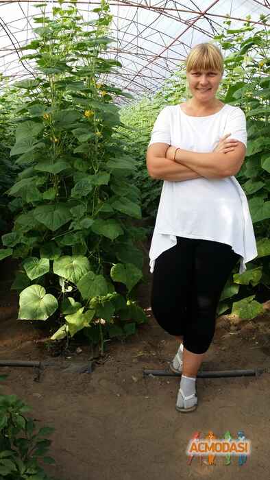 Юлия  Герасименко фото №1001978. Завантажено 28 Грудня 2016