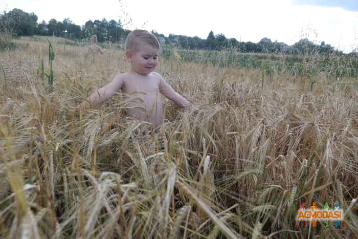 Марк Дмитрович Отовський фото №1085094. Завантажено 30 Липня 2017