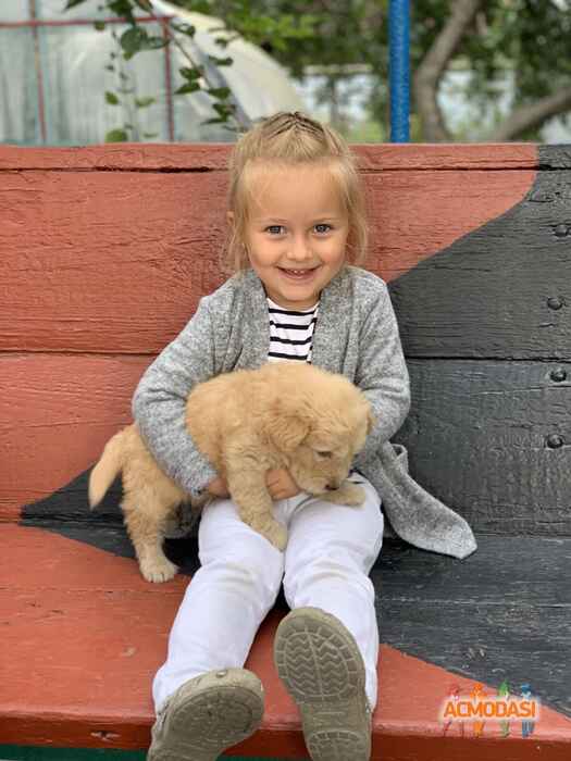 Злата Олегівна Парасунько фото №1486143. Завантажено 10 Грудня 2019