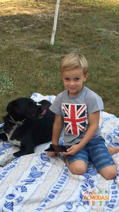 Тимофей Александрович Остапчук фото №1129265. Завантажено 03 Листопада 2017