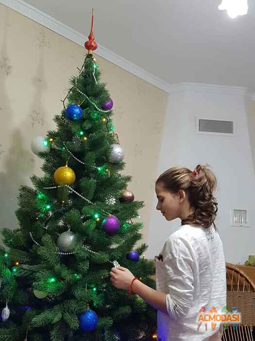 Мария Игоривна Лысюк фото №1160309. Завантажено 05 Січня 2018