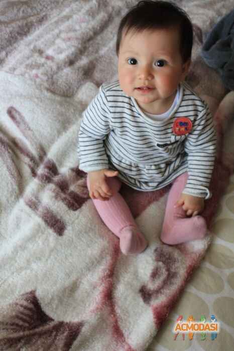 Ольга Андріївна Додик фото №1050030. Завантажено 03 Травня 2017