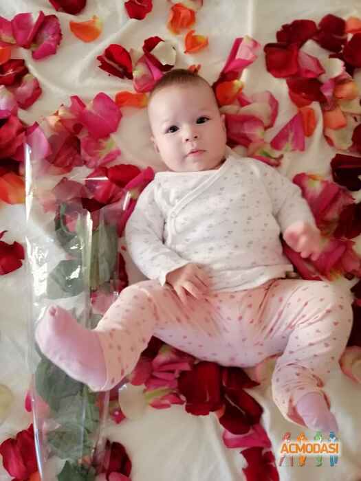 Яна-Іванна Олегівна Королишина фото №1482070. Завантажено 30 Листопада 2019