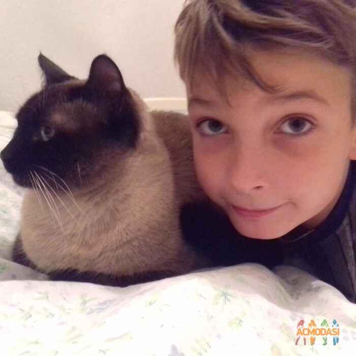 Быценко  Никита фото №1012501. Завантажено 27 Січня 2017